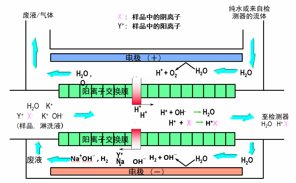 離子色譜電解抑制器的抑制原理.jpg