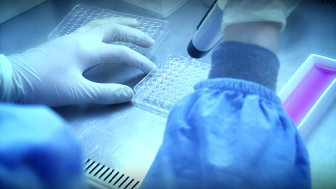 細胞因子和生物標志物檢測.jpg 細胞因子和生物標志物檢測.jpg