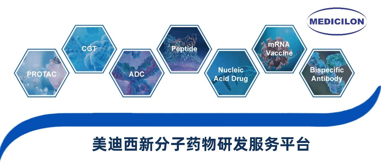 美迪西新分子類型藥物研發服務平臺