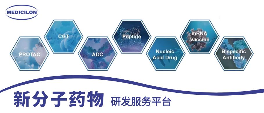美迪西新分子藥物研發服務平臺
