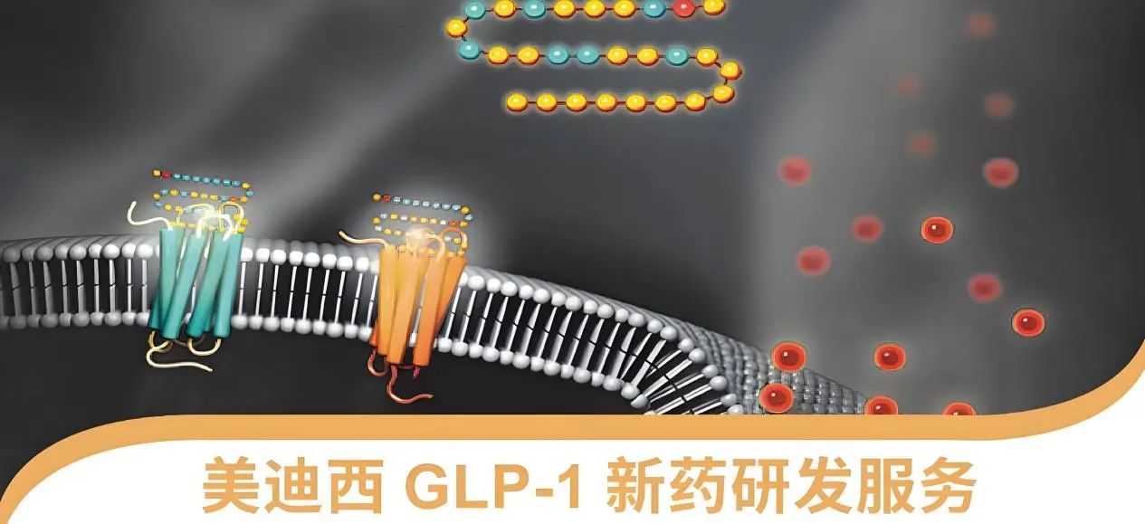 70.5%的成人正在悄悄長胖！國家衛健委“減肥令”下，GLP-1藥物如何突圍？