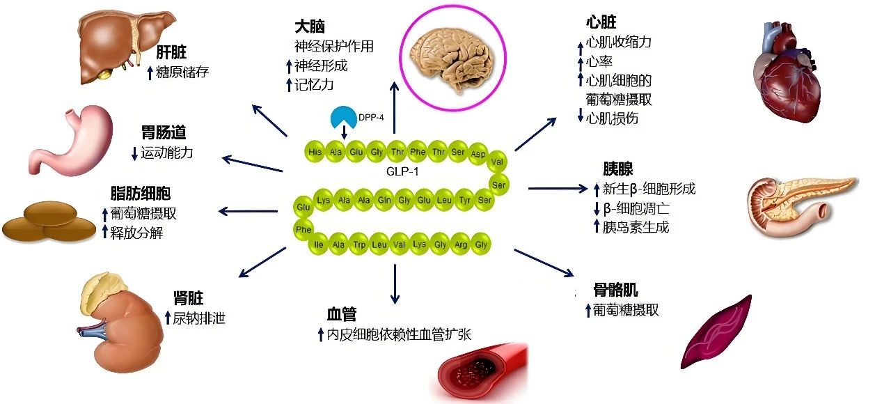微信圖片_20250319094904.jpg