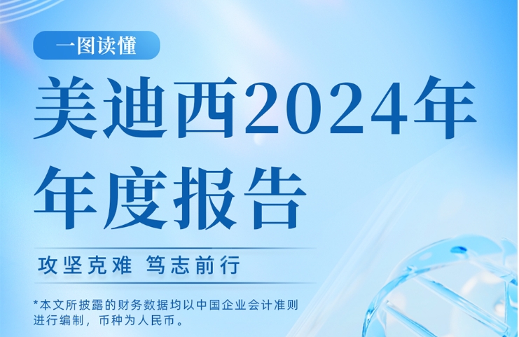 美迪西2024年年度報告